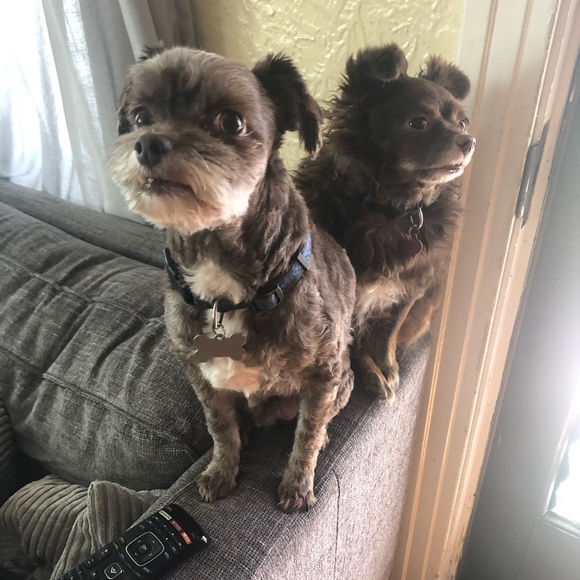 🐾🐾🩵🌊3/23 SHARE GROUP 🌊🩵🐾 - Picture 14 of 17